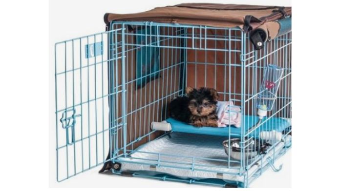 puppies-crate-training