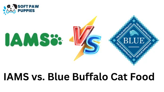 IAMS vs. Blue Buffalo Cat Food: Which is Purr-fect for Your Feline Friend