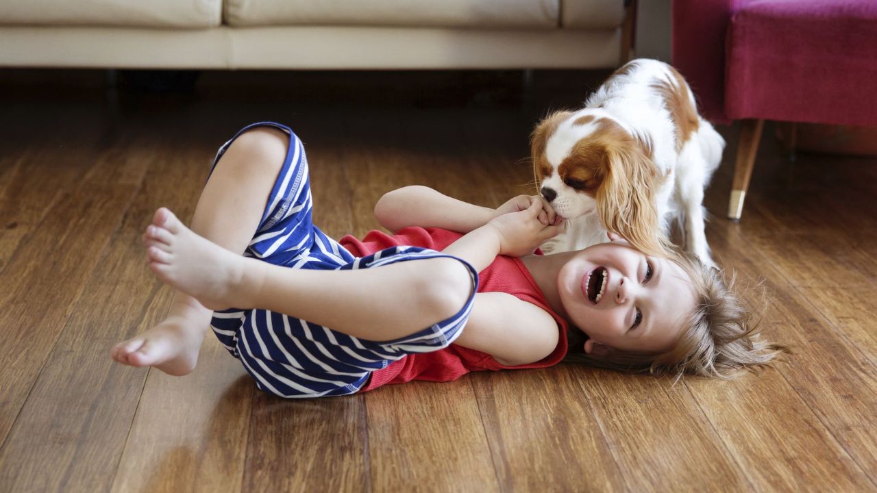 Family-friendly puppy breeds