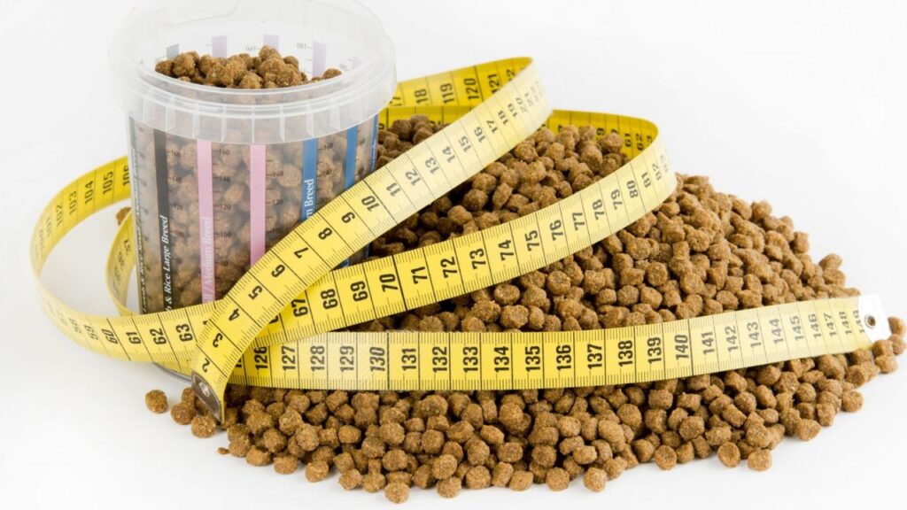 Nutritional Requirements for Puppies